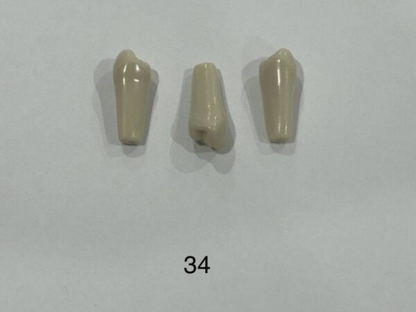 Pack Of 5 Plain Teeth - Image 6