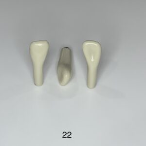 Plain ADC Exam Teeth - Pack of 5 - 22