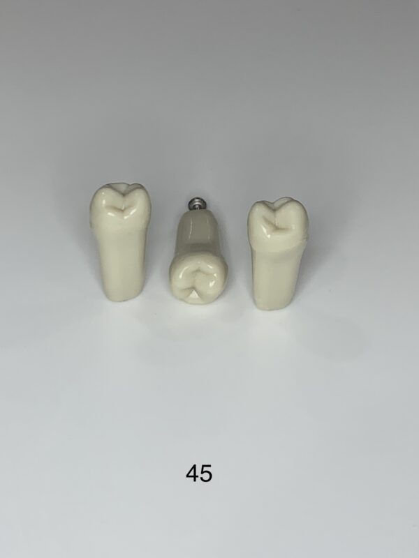 Pack Of 5 Plain Teeth - Image 3