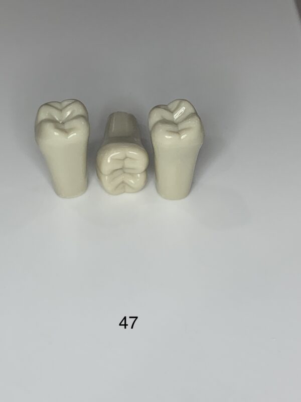 Pack Of 5 Plain Teeth - Image 2