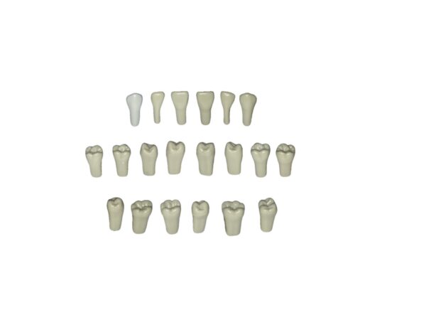 Pack Of 5 Plain Teeth