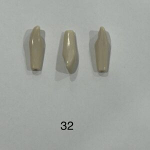 Plain ADC Exam Teeth - Pack of 5 - 32