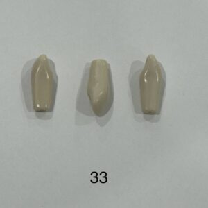 Plain ADC Exam Teeth - Pack of 5 - 33