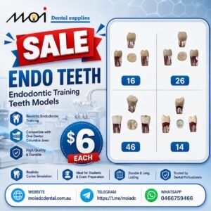 Endo RCT Training Tooth – ADC Compatible
