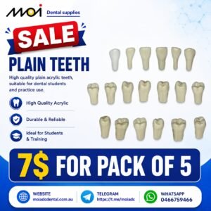 Plain ADC Exam Teeth - Pack of 5